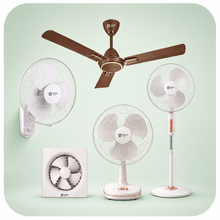Fans
