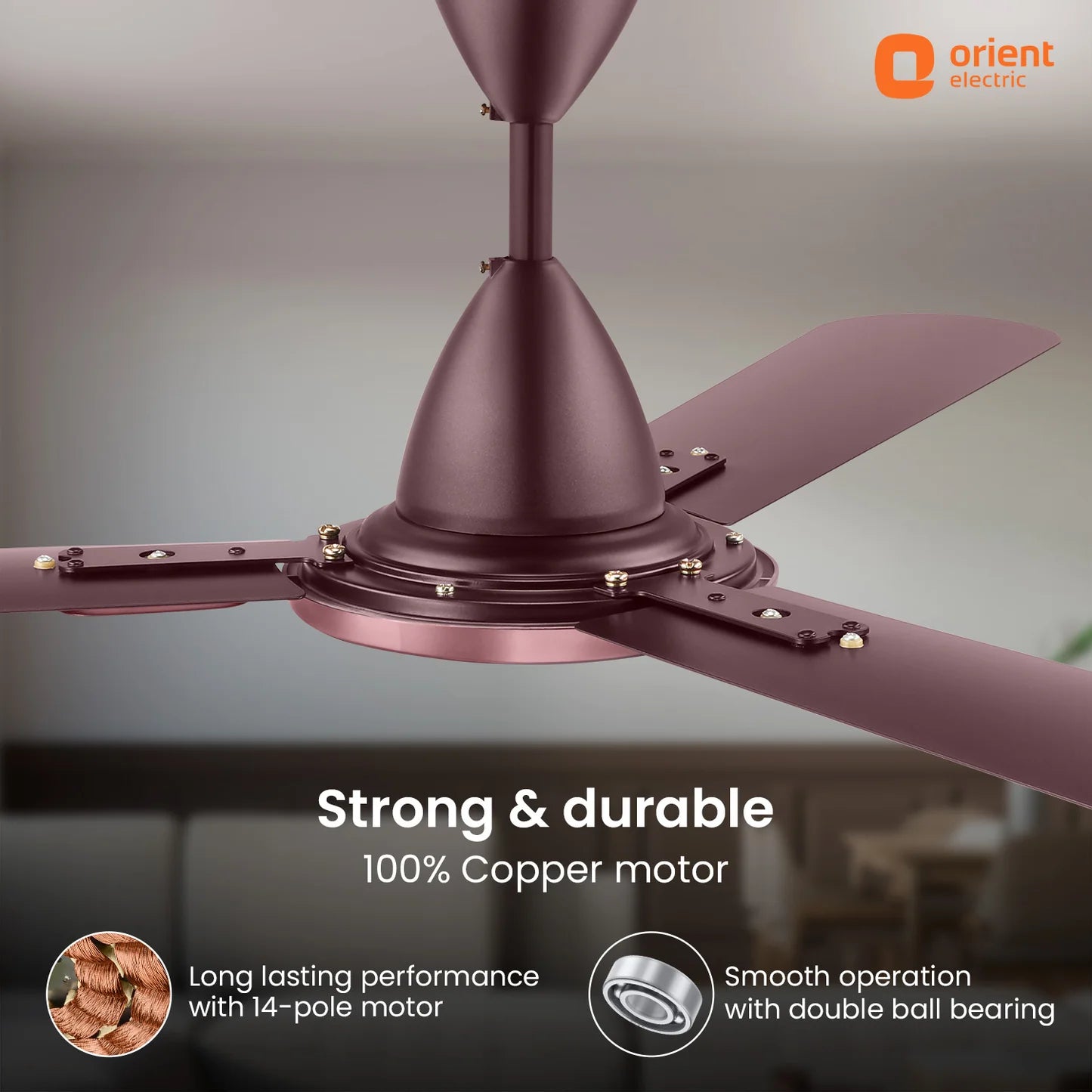 Orient Blanco Decorative Ceiling Fan | 2-Year Warranty 1200MM